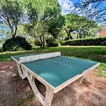 Appartement T1 Bis Rénové, Clim Et Confort - Raphaël *
