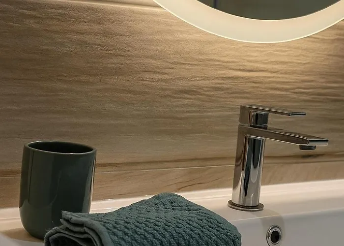 T1 Bis Renove, Clim Et Confort - Raphael *