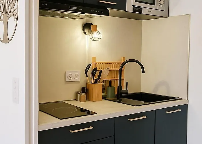 T1 Bis Renove, Clim Et Confort - Raphael Saint-Raphaël